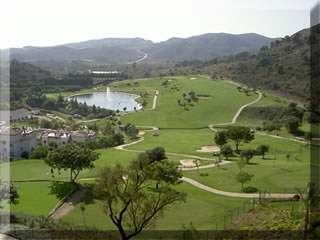 Costa del Sol Property Areas